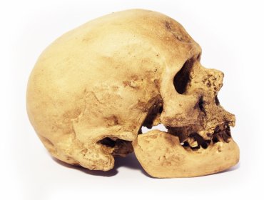 Estudio indica que el Homo Sapiens llegó a China hace 100.000 años