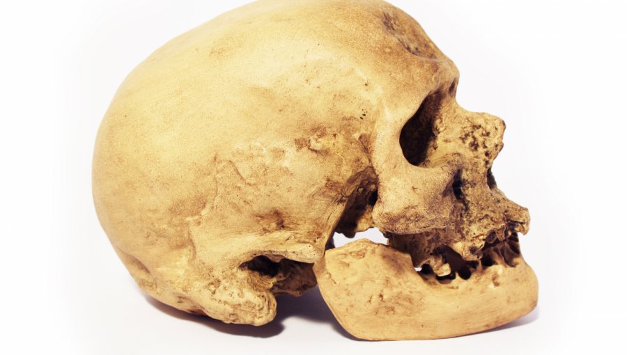 Estudio indica que el Homo Sapiens llegó a China hace 100.000 años