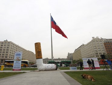 Colilla gigante en Plaza de la Ciudadanía llama la atención sobre suciedad