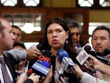 Bárbara Figueroa: " Veremos los puntos críticos de la reforma laboral"