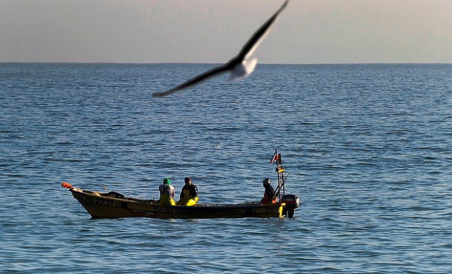 Una bacteria del mar podría neutralizar gases de invernadero