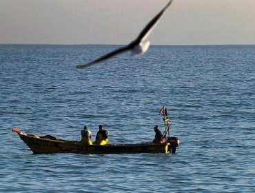 Una bacteria del mar podría neutralizar gases de invernadero