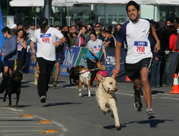 Perrorunning convocó más de 350 duplas de amos y sus mascotas en Viña del Mar