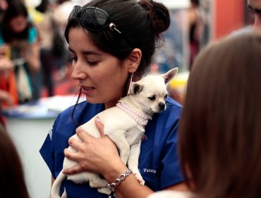 Es un hecho: los perros se parecen cada vez más a sus dueños