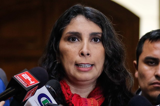Diputada Rubilar: anuncio del Minsal por Ley Ricarte Soto es "inentendible"