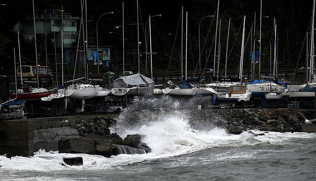 Autoridad marítima de Valparaíso pide evitar selfies en la costa por marejadas