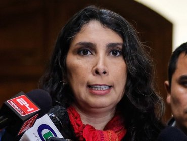 Diputada Rubilar: anuncio del Minsal por Ley Ricarte Soto es "inentendible"