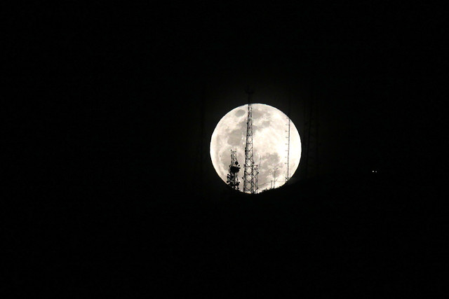 Materia orgánica de muestras lunares es contaminación terrestre dice estudio