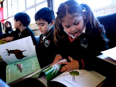 Mineduc realizará un sumario tras polémica de libro "hot" en liceo de Los Ríos