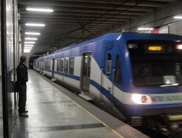 Mujer murió arrollada por tren del Merval en Villa Alemana