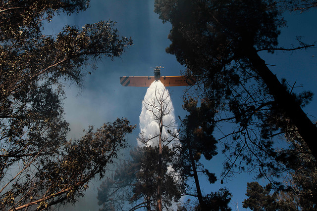 Advierten "alta vulnerabilidad" para esta temporada de incendios forestales