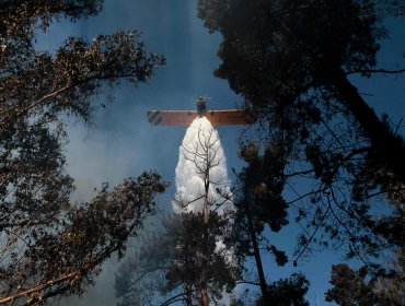 Advierten "alta vulnerabilidad" para esta temporada de incendios forestales