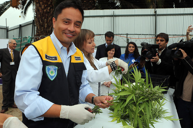 Alcalde Rodolfo Carter renunció definitivamente a la UDI