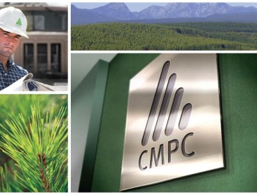 CMPC anota pérdidas por 88,99 millones de dólares a septiembre