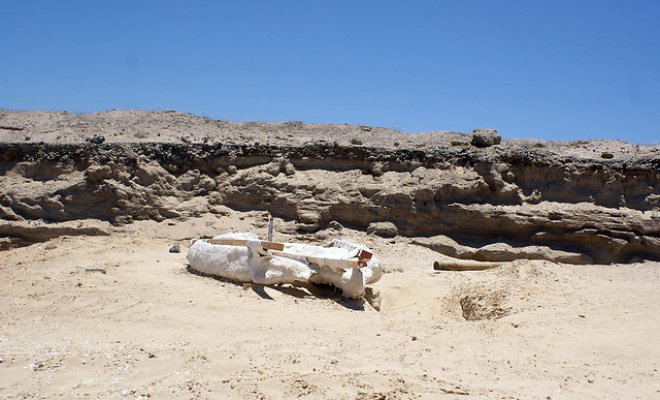 Hallan razón que permite vivir a algas y cianobacterias en desierto de Atacama