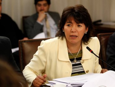 Diputados DC anuncian que no aprobarán glosa de gratuidad "así como está"