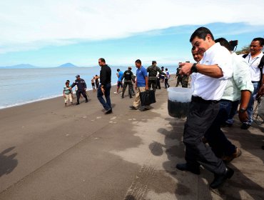 Liberan en Honduras a 1.300 tortugas golfinas en el Golfo de Fonseca