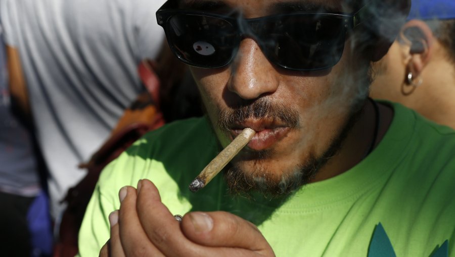 Gobierno presenta modificaciones al proyecto de autocultivo de marihuana