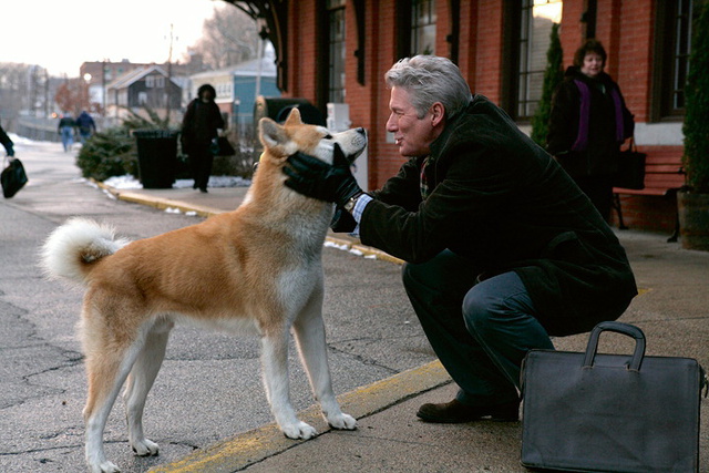 Encuentran inédita foto del verdadero Hachiko