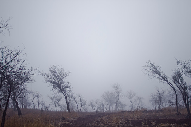 Mundos con niebla pueden reunir condiciones de la Tierra antigua, según estudio