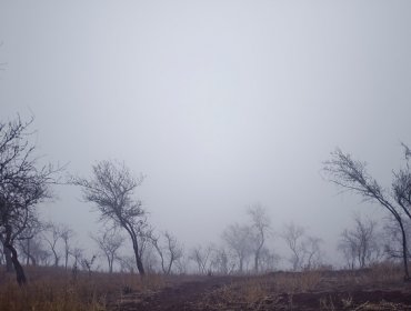 Mundos con niebla pueden reunir condiciones de la Tierra antigua, según estudio