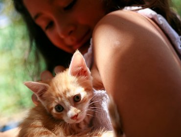 Las precauciones que debes tener con tu mascota con la llegada del calor