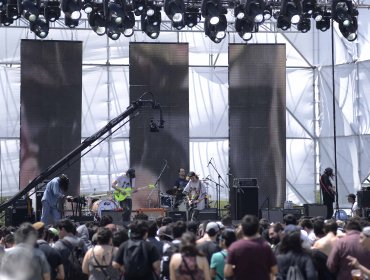 Primavera Fauna se realiza en las piscinas del Espacio Broadway