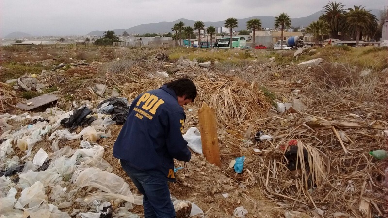 Se encontraron osamentas humanas en humedal de Playa de Coquimbo