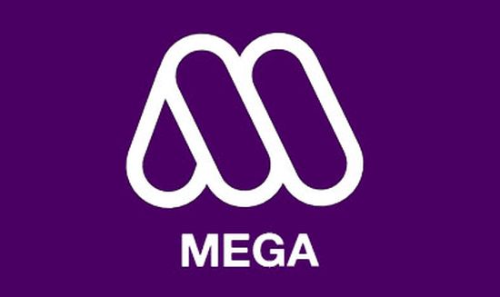 Mega juntaría a ex matrimonio en su próximo reality