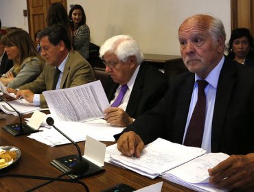 Presidente de la Anef confirma paro del sector público en comisión de la Cámara