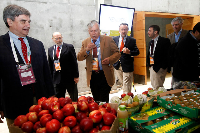 Ministro Furche declara libre de la plaga de mosca de la fruta a la IV Región