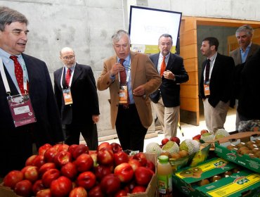 Ministro Furche declara libre de la plaga de mosca de la fruta a la IV Región