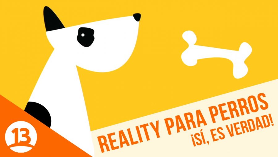 Los perros serán protagonistas del nuevo reality de Canal 13
