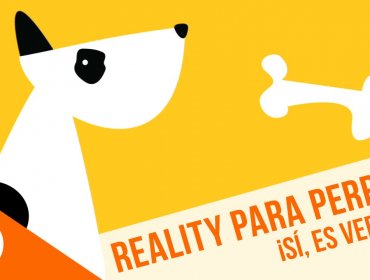 Los perros serán protagonistas del nuevo reality de Canal 13