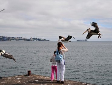 Humanos y aves comparten el mecanismo para producir sonido