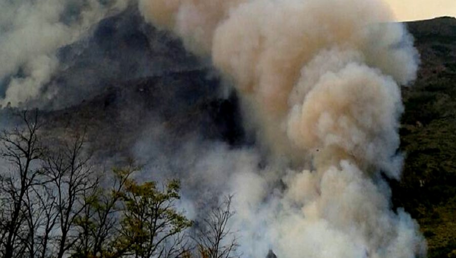 Se declara Alerta Amarilla para la comuna de Cisnes por incendio forestal