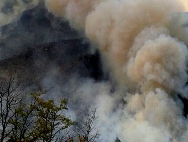 Se declara Alerta Amarilla para la comuna de Cisnes por incendio forestal