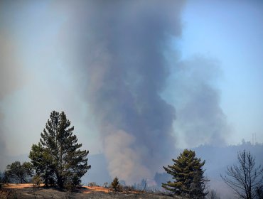 Onemi declara alerta roja en Valparaíso por incendio en villa Rapa Nui