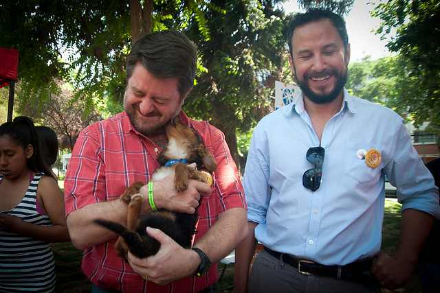 Adoptar un perro es un buen regalo de Navidad, destaca intendente Orrego