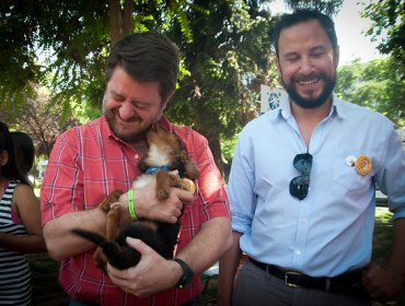 Adoptar un perro es un buen regalo de Navidad, destaca intendente Orrego