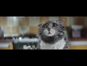 Simpático Spot Navideño donde Gato con mala suerte es el protagonista