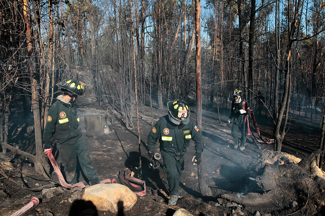 Conaf advierte condiciones favorables para incendios forestales en 7 regiones