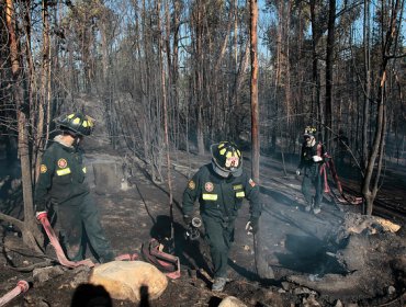 Conaf advierte condiciones favorables para incendios forestales en 7 regiones