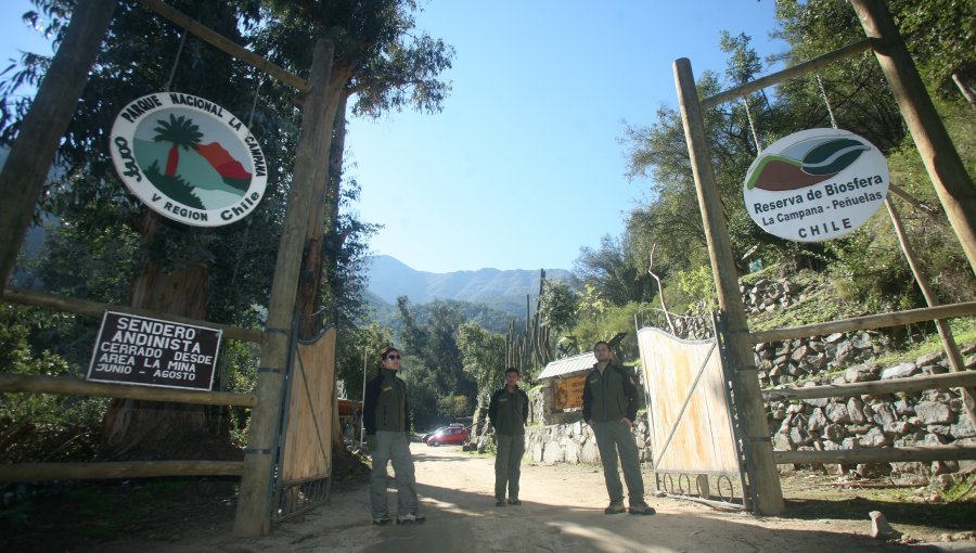 Olmue: Se declara alerta roja por incendio en las cercanías de Parque Nacional La Campana