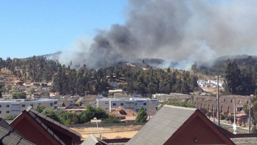 Alerta Amarilla para la comuna de Villa Alemana por incendio forestal