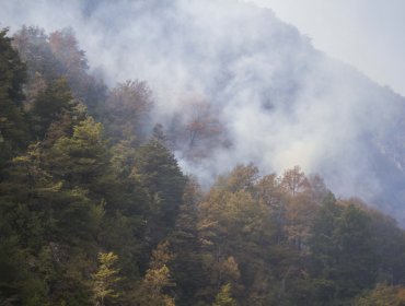 Intendencia de Valparaíso declara Alerta Roja para Olmué por incendio forestal