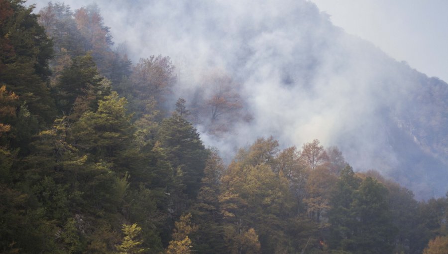 Intendencia de Valparaíso declara Alerta Roja para Olmué por incendio forestal