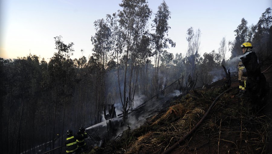 Incendio forestal afecta a varias hectáreas en Til Til