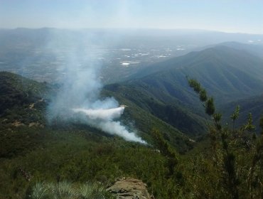 CONAF y Bomberos controlaron incendio forestal que mantiene con alerta roja a Olmué