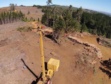 Los drones, nuevos aliados en la prevención de accidentes en faenas forestales